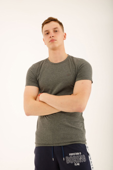 Мужская футболка E9. 00135 фото Оптовый интернет-магазин одежды от бренда GIOVEDI в Украине